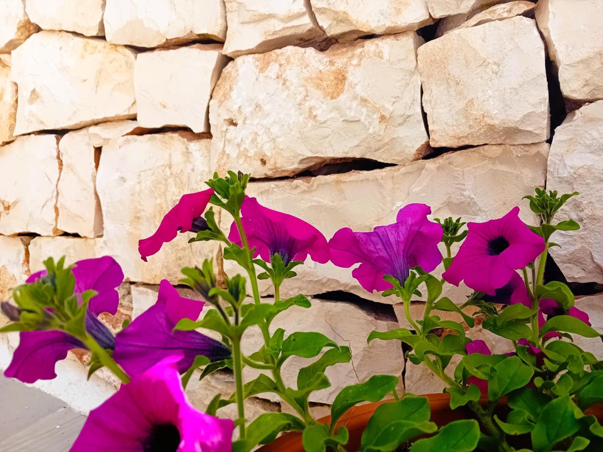 Pietra Di Puglia Hotel Monopoli Exterior foto
